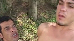 Gay Muscle Bareback - Two gay guys suck cock and fuck ass